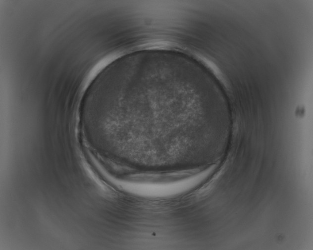X0000092281418200710121355