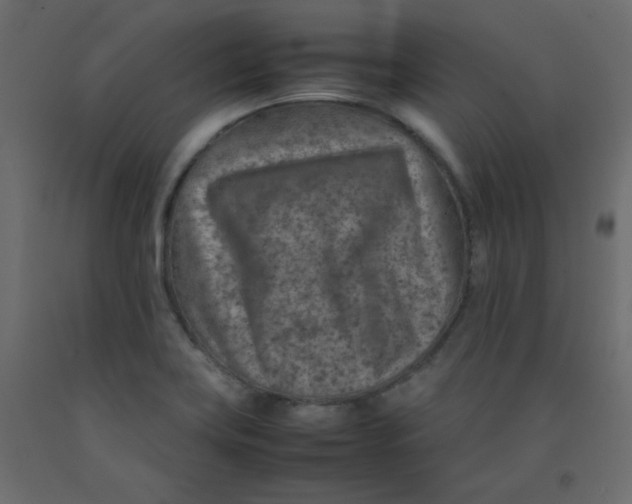 X0000092281419200710121355