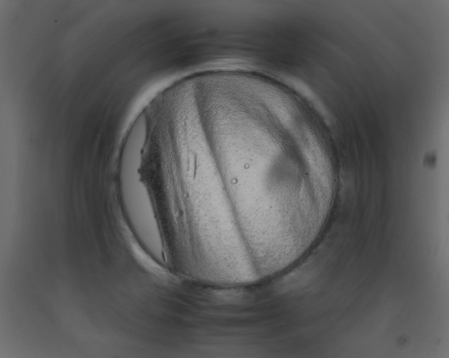 X0000092281421200710121355
