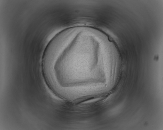 X0000092281423200710121355