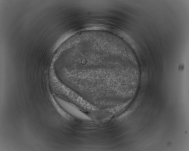 X0000092281425200710121355