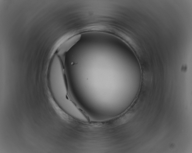 X0000092281426200710121355