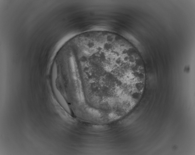 X0000092281427200710121355