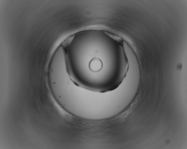 X0000092281430200710121355