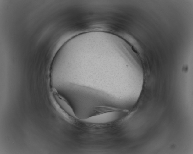X0000092281431200710121355