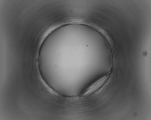 X0000092281432200710121355