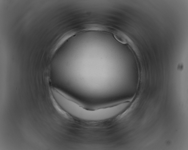 X0000092281433200710121355