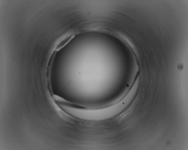 X0000092281434200710121355