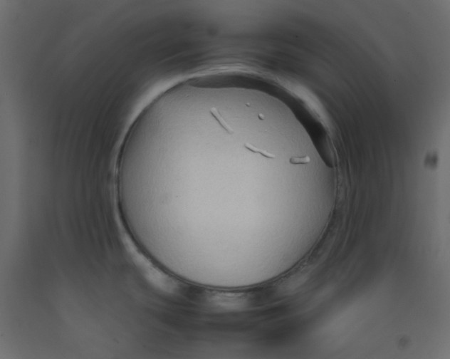 X0000092281439200710121355