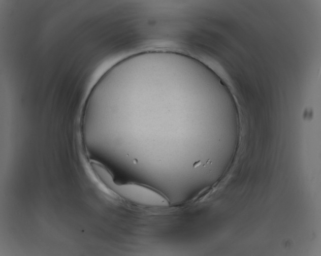 X0000092281440200710121355