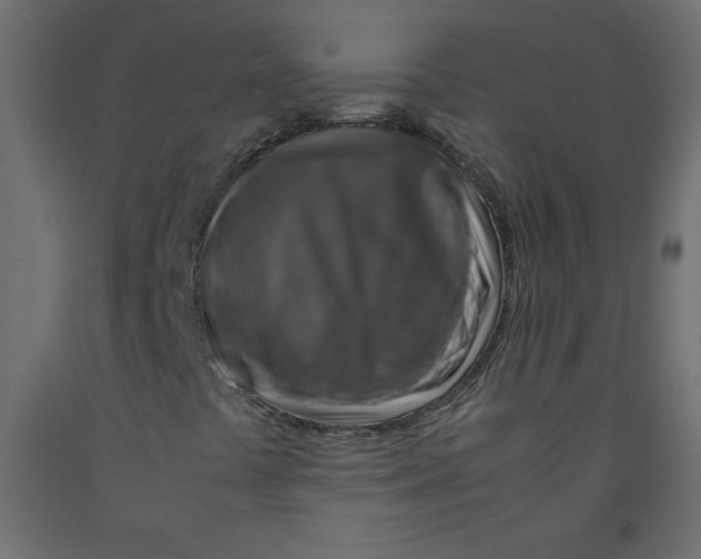 X0000092281441200710121354