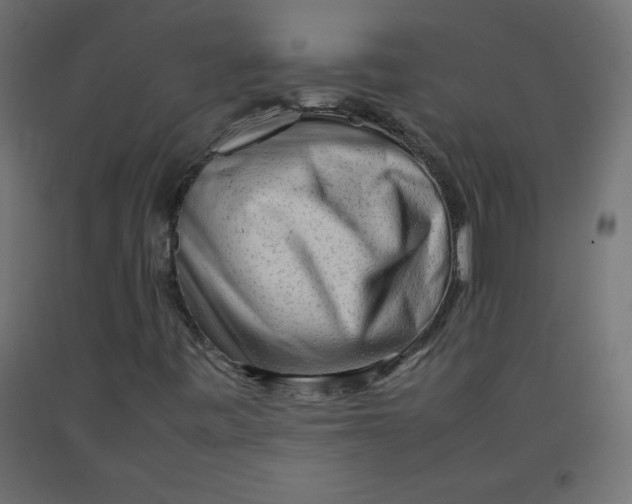 X0000092281443200710121354