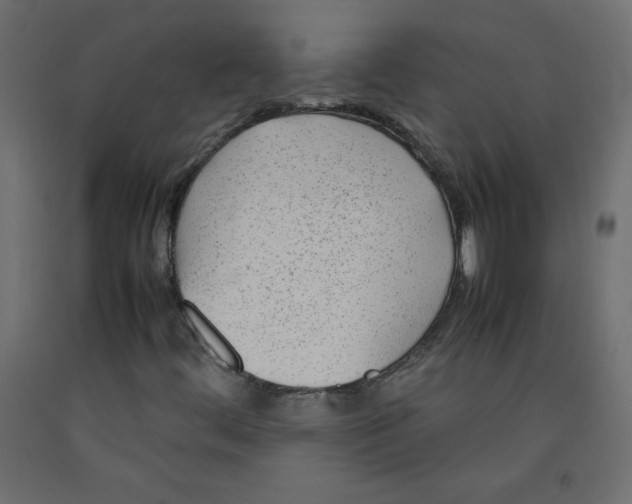 X0000092281444200710121354