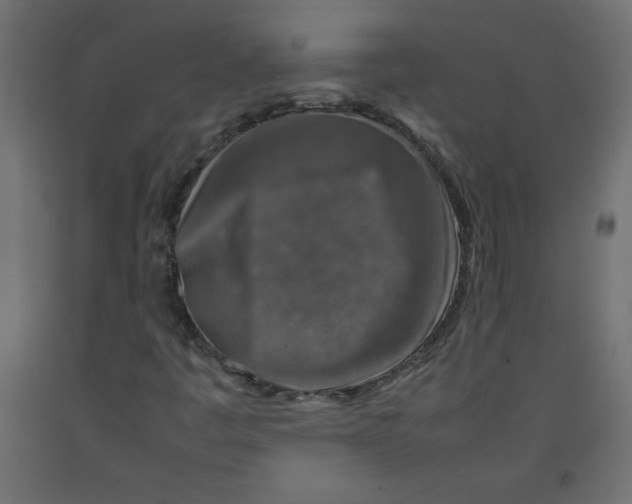 X0000092281445200710121354