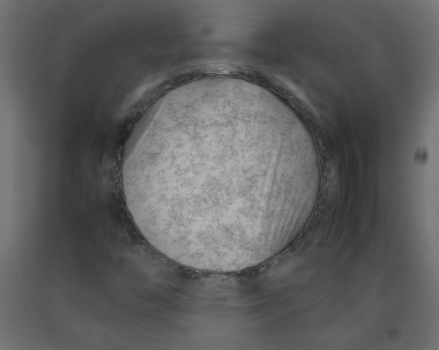 X0000092281446200710121354
