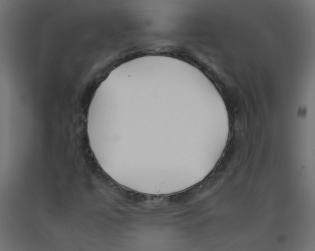 X0000092281447200710121354