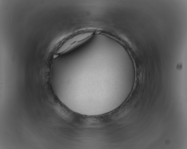 X0000092281448200710121354