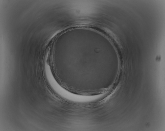 X0000092281449200710121354