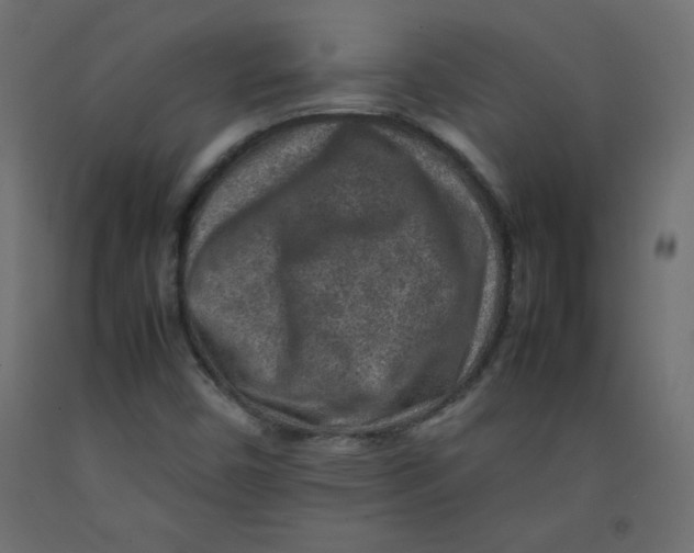 X0000092281450200710121354