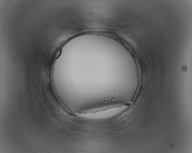X0000092281451200710121354