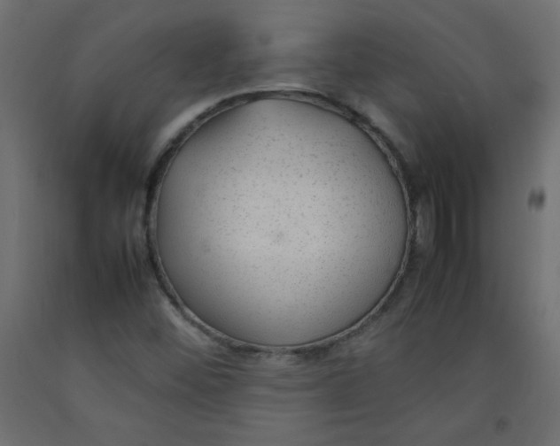X0000092281452200710121354