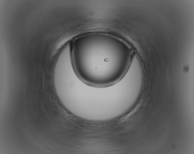 X0000092281453200710121354