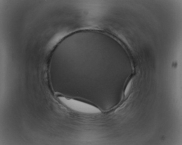 X0000092281455200710121354