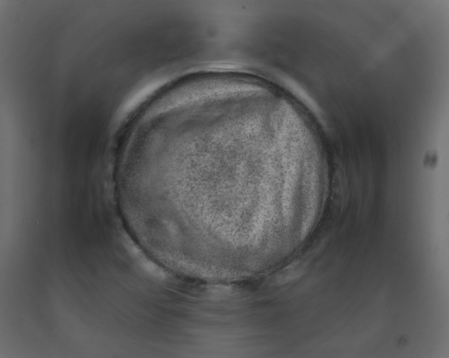 X0000092281456200710121354