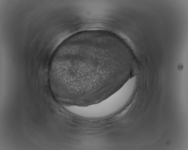 X0000092281457200710121354