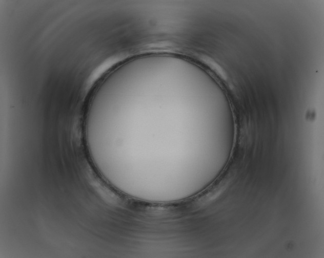 X0000092281458200710121354