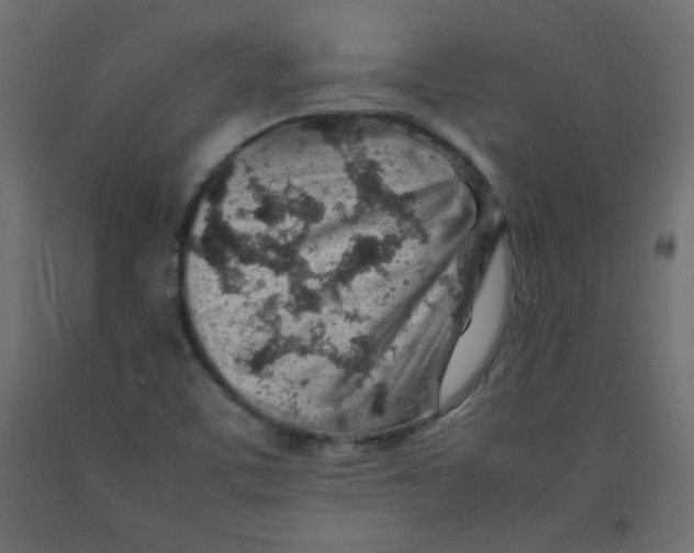 X0000092281459200710121354