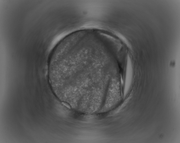 X0000092281461200710121354