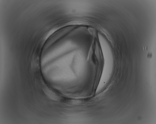 X0000092281465200710121354