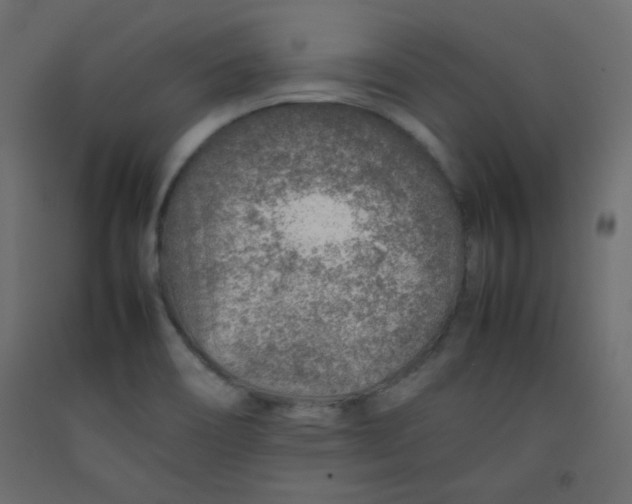 X0000092281466200710121354