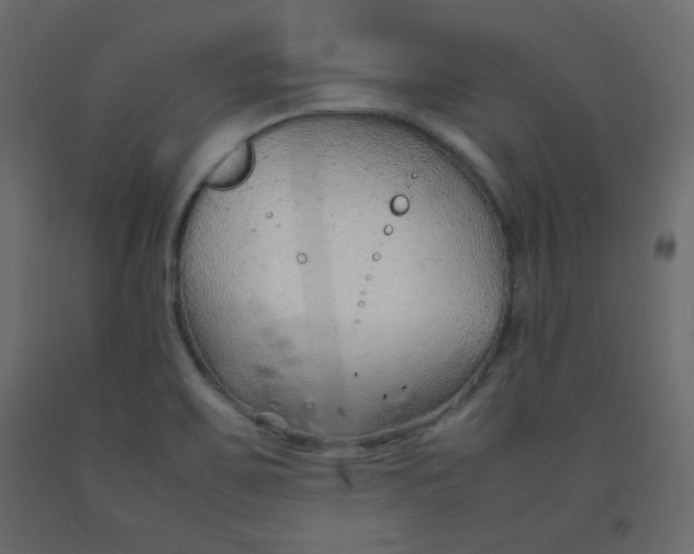 X0000092281467200710121354