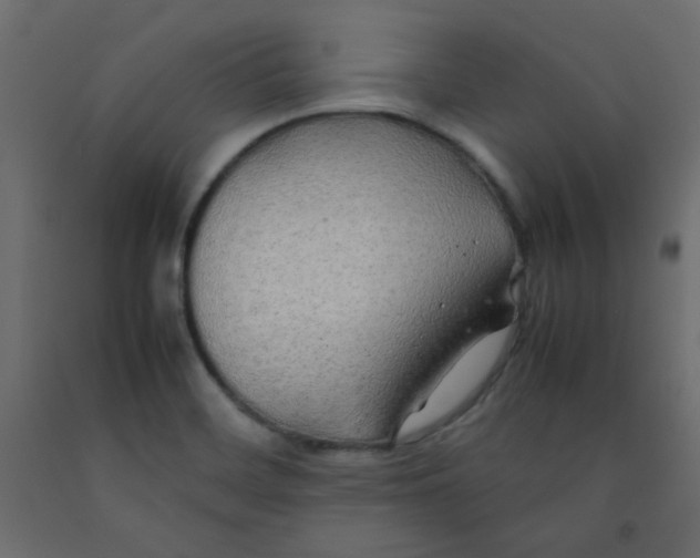 X0000092281468200710121354