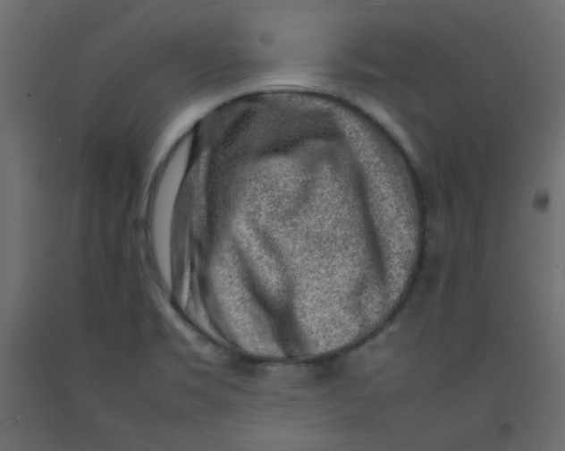 X0000092281469200710121354