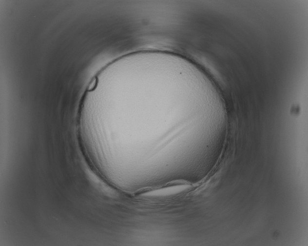 X0000092281471200710121354