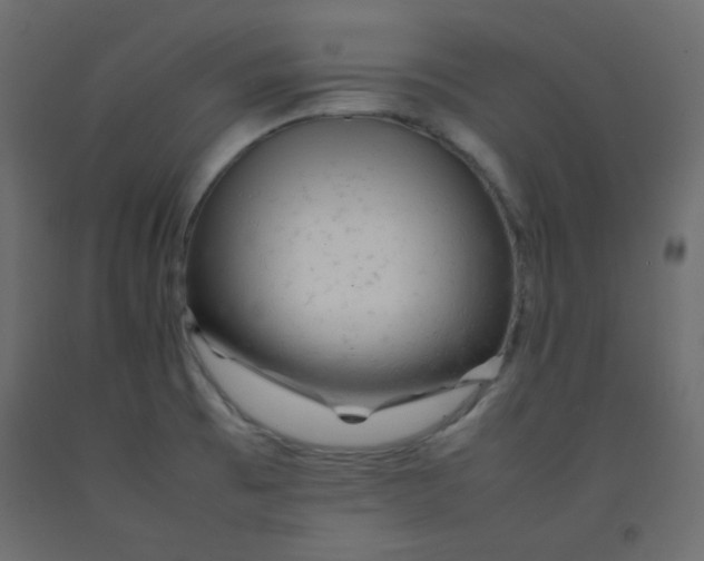 X0000092281473200710121354