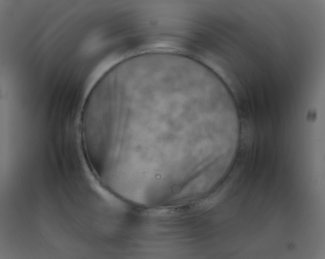 X0000092281474200710121354