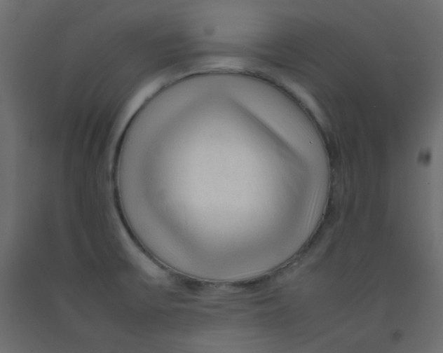 X0000092281475200710121354