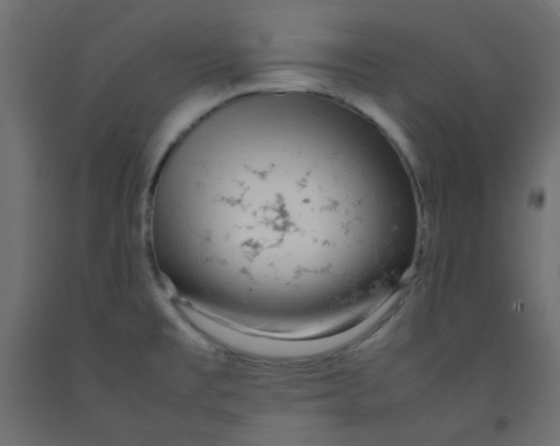 X0000092281477200710121354