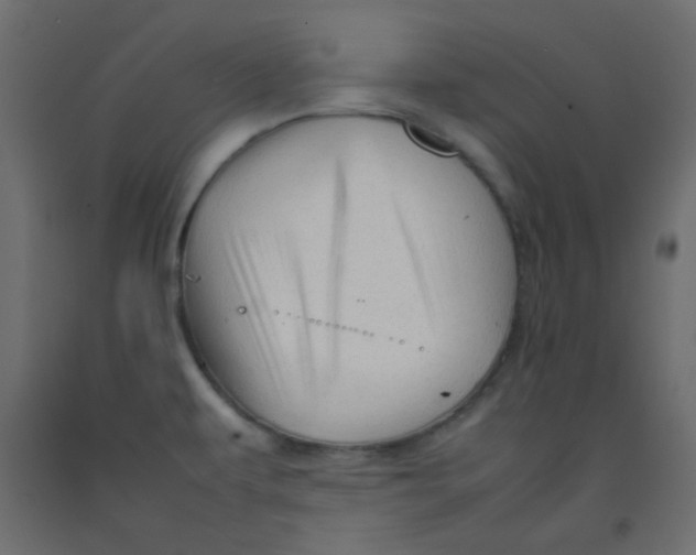 X0000092281479200710121354