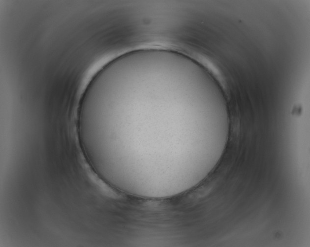 X0000092281480200710121354