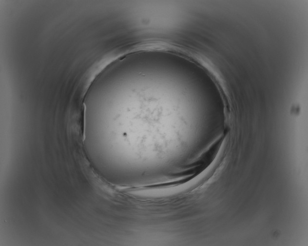 X0000092281481200710121354