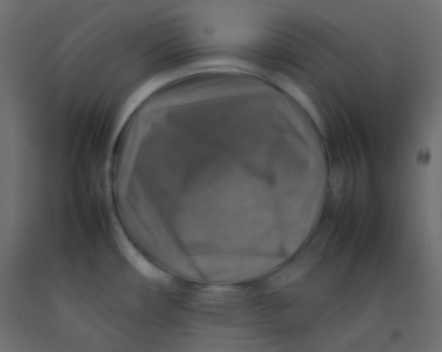 X0000092281482200710121354