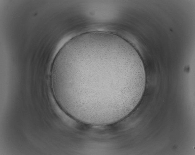 X0000092281483200710121354
