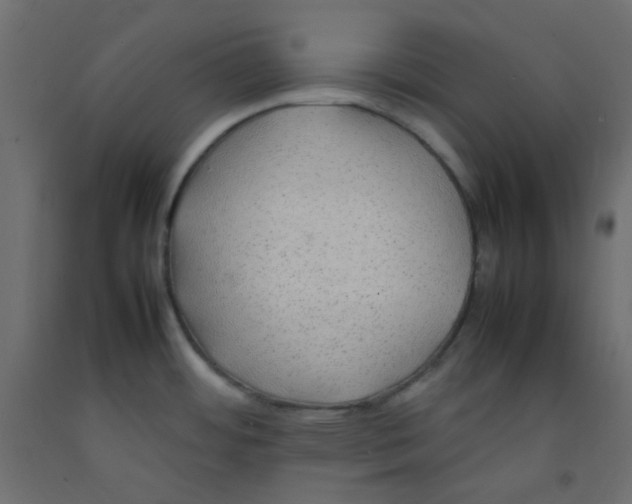 X0000092281484200710121354