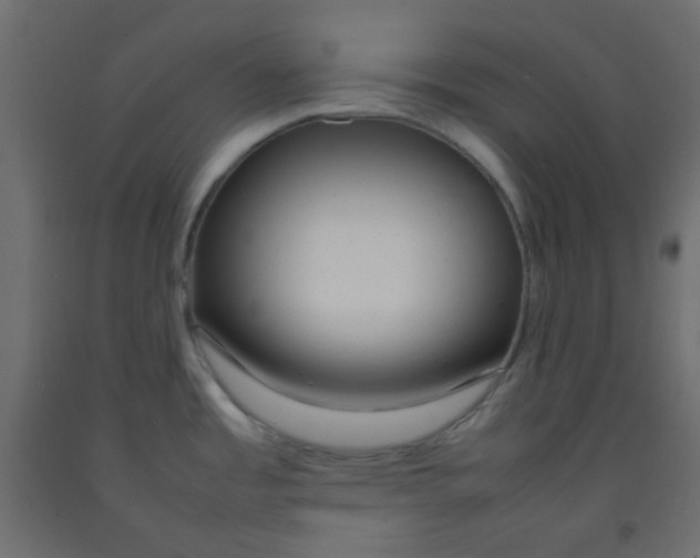 X0000092281485200710121354