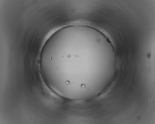X0000092281486200710121354